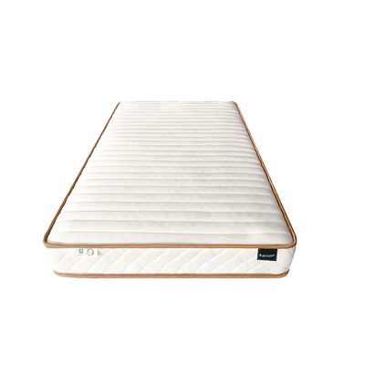 Top-Ranking Suppliers In China Rayson Mattress Pocket Spring Mattress Factory