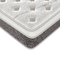 Roll In Box Pocket Spring Mattress Orthopaedic Latex Custom Logo